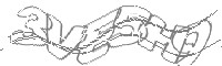Check code