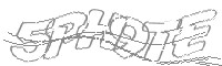Check code