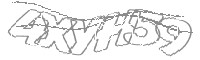 Check code