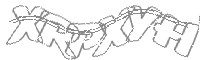 Check code